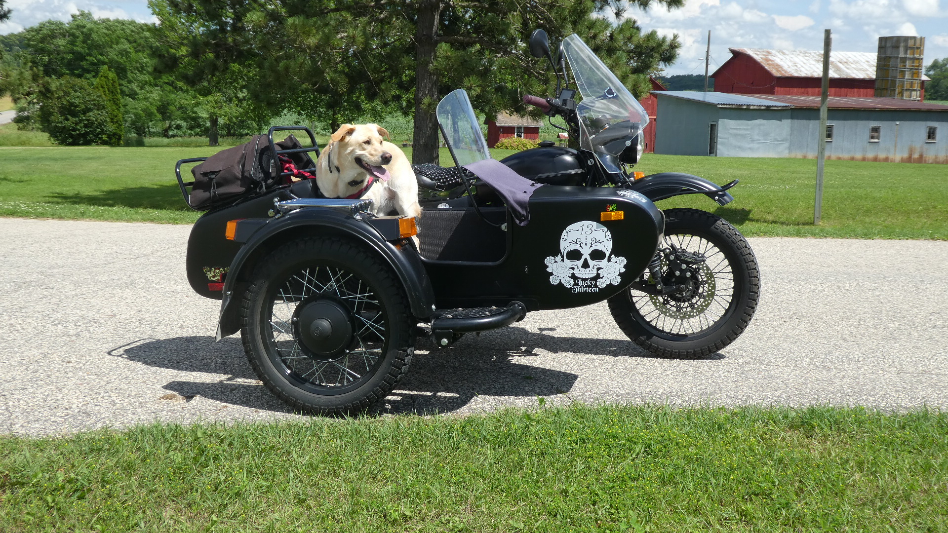 Annie
                                          & my Ural T