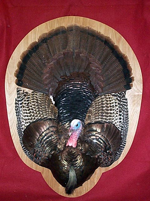 Turkey
                          flat 1/2 mount