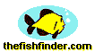 My Fish finder